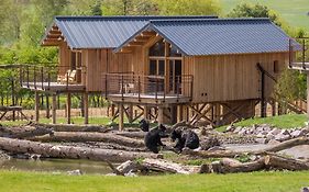 Parc Animalier De Sainte-Croix